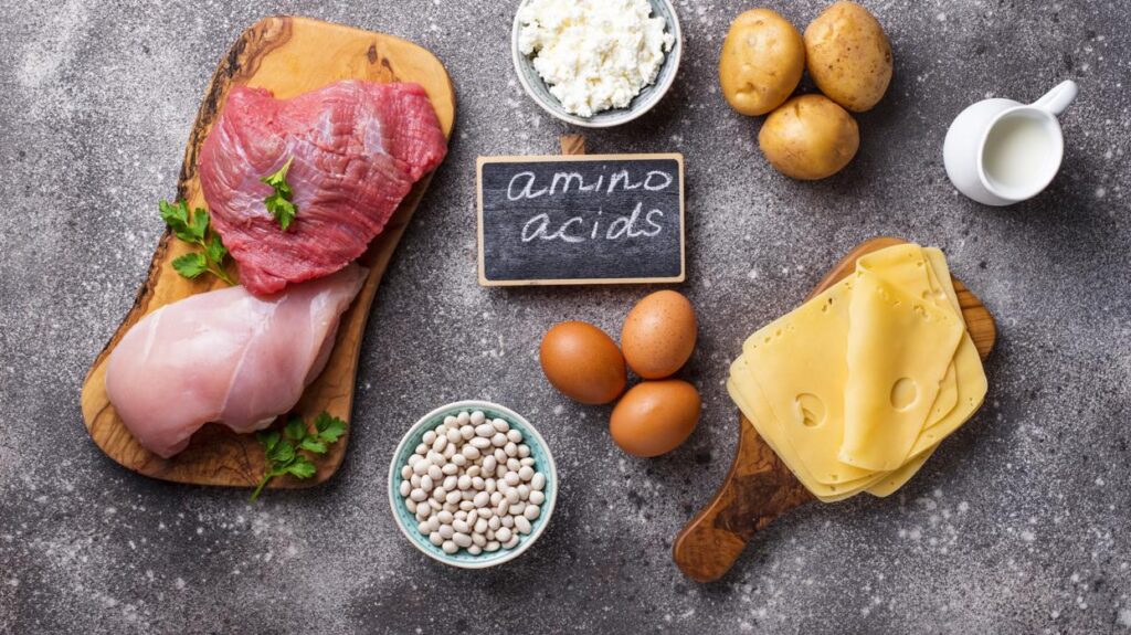 alimentos ricos en aminoácidos